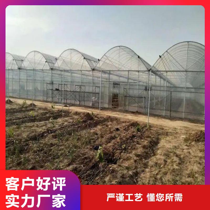 青阳种植棚销售厂家案例