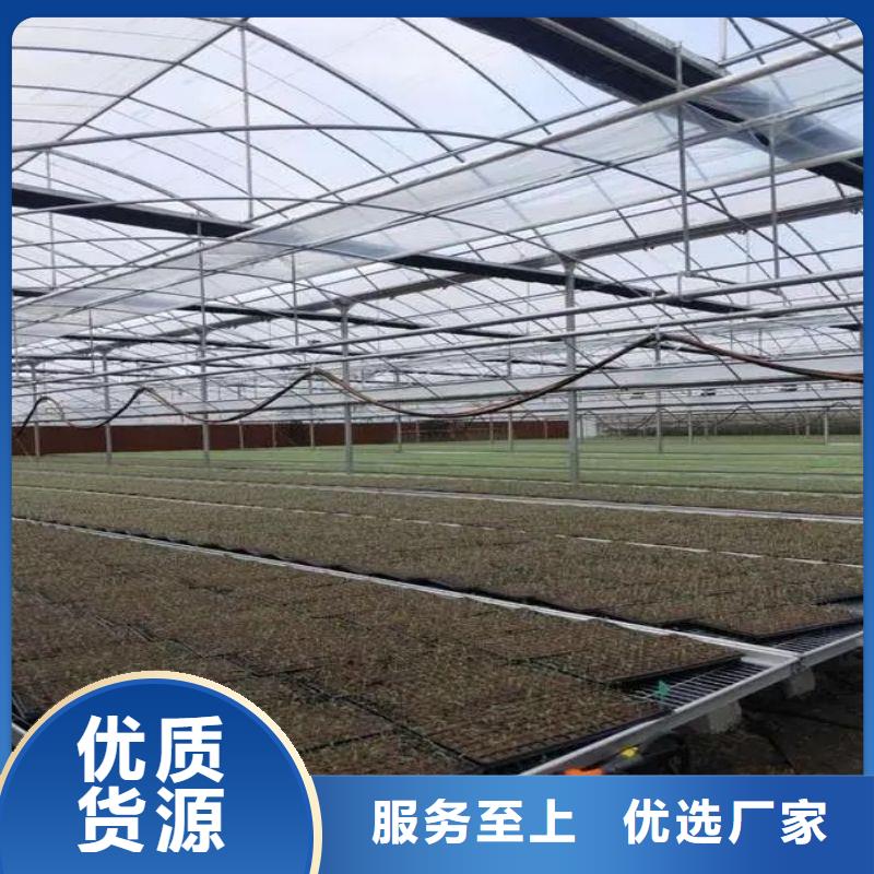 来安县pc板温室智能大棚种植基地经验丰富品质可靠