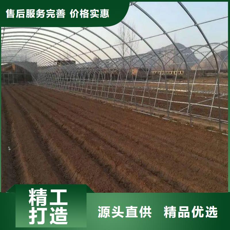 青阳县热镀锌大棚骨架钢怎么买不只是质量好