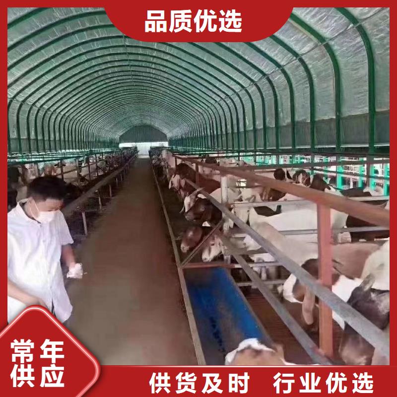 包塑大棚管實(shí)力雄厚【本地】品牌