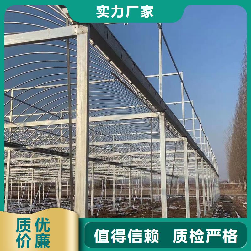 天津大棚管现货热销省心又省钱