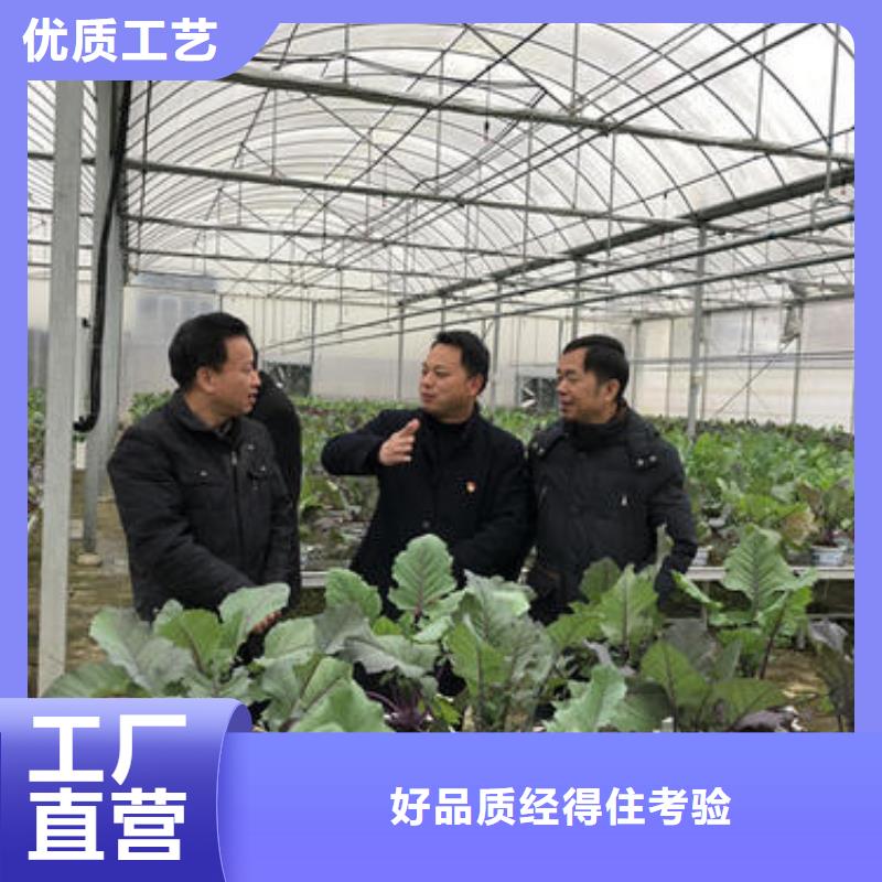 【大棚管】温室大棚管定制定做打造好品质