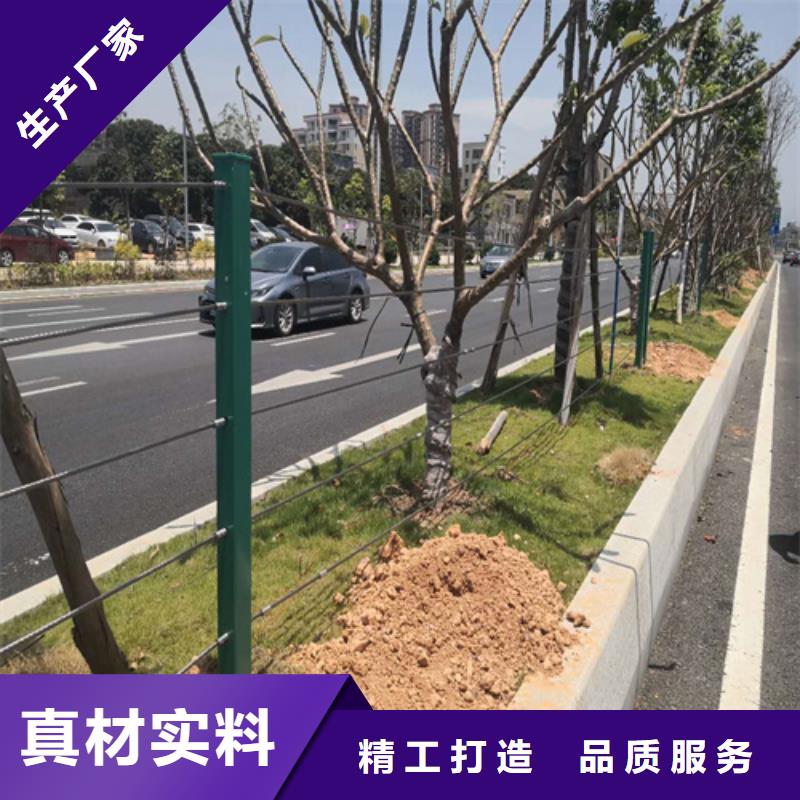 找不锈钢缆索护栏-现货充足有保障原料层层筛选