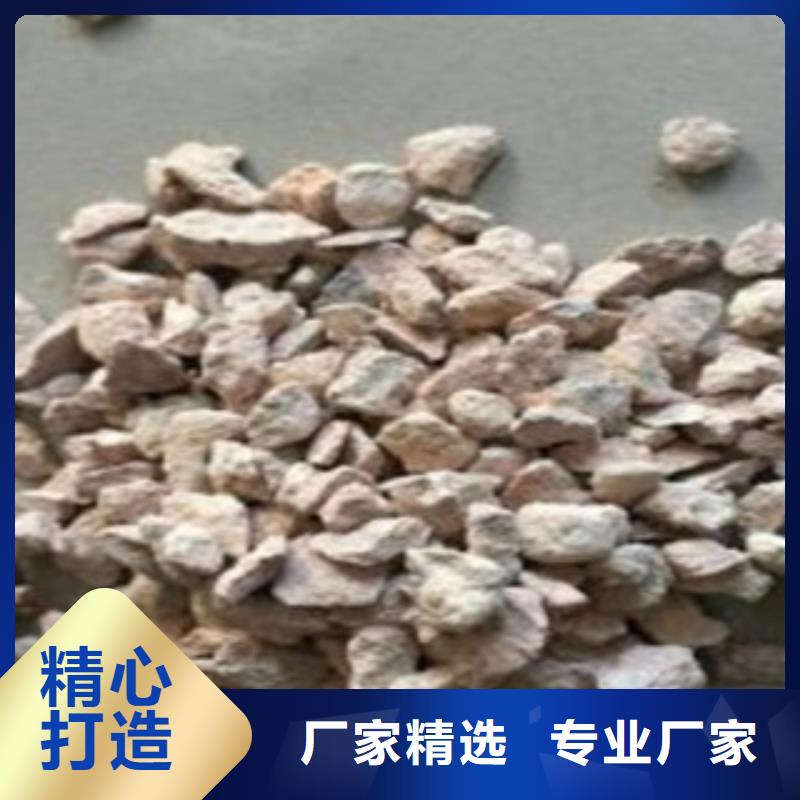 【沸石陶粒经验丰富品质可靠】精选好货