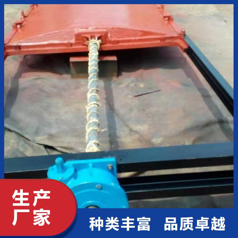 鑄鐵閘門專注質量當?shù)厣a商