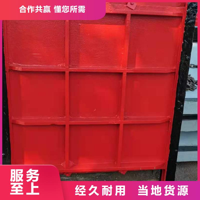 鑲銅鑄鐵閘門(mén)規(guī)格齊全廠家貨源