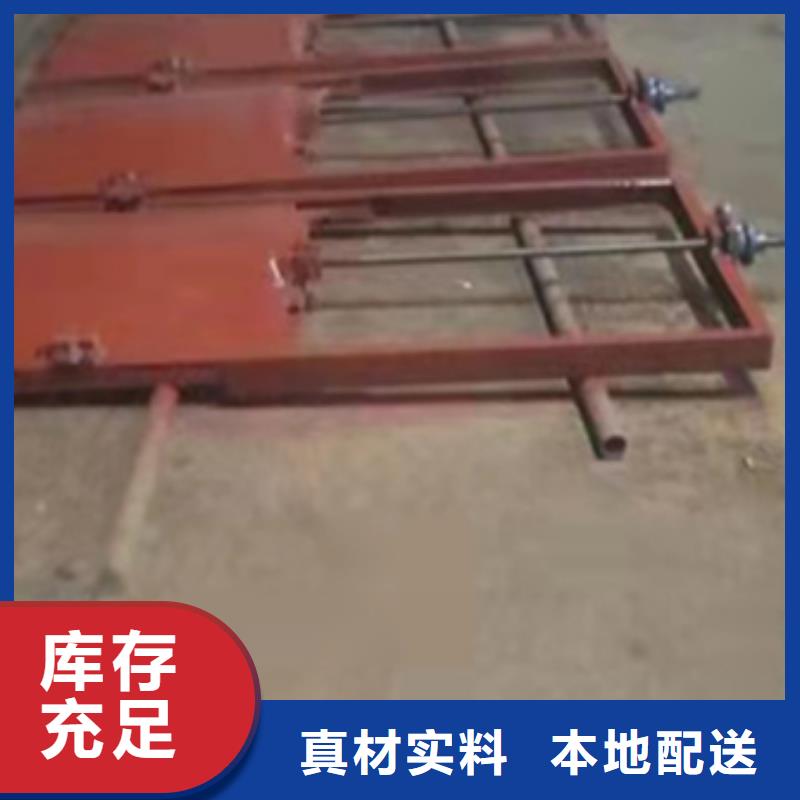 復合閘門可定制產品細節(jié)參數