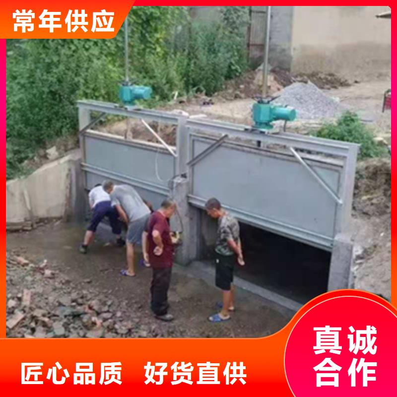 平板鋼閘門價(jià)格低用心做好細(xì)節(jié)