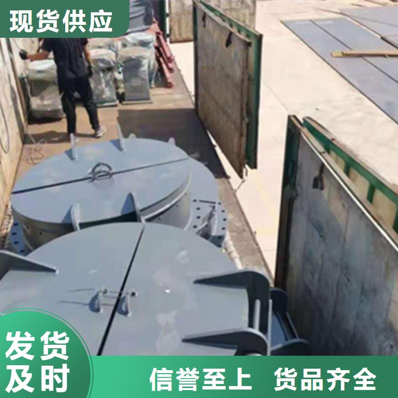 翻板閘門支持定制工廠采購