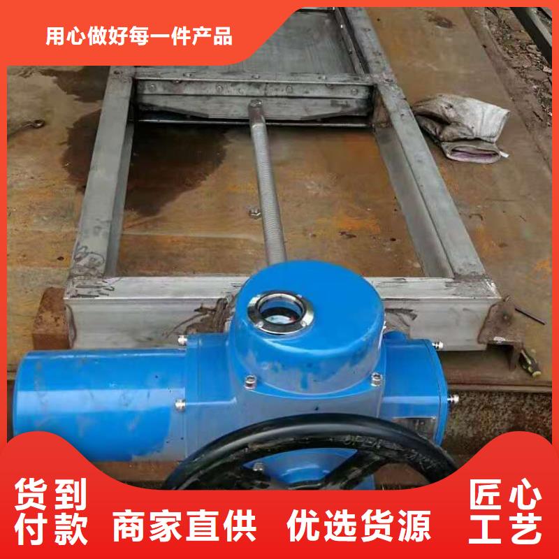 鋼閘門貼心服務(wù)當(dāng)?shù)毓?yīng)商
