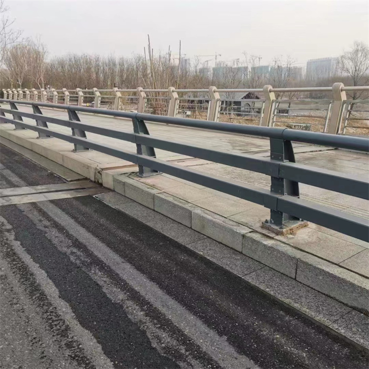 護(hù)欄【人車分流欄】來(lái)圖定制