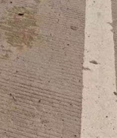 护栏价格实惠