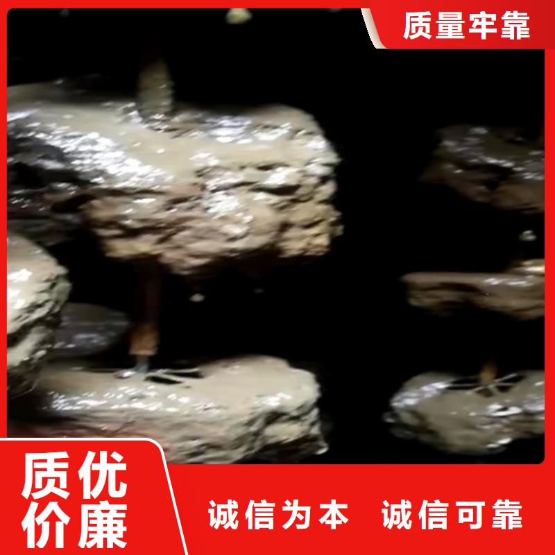 養(yǎng)殖污水處理設備十年老廠-質量無憂免費咨詢設計方案本地經(jīng)銷商