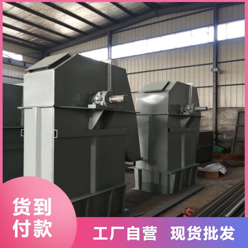 TD160斗式機本地廠家供應商