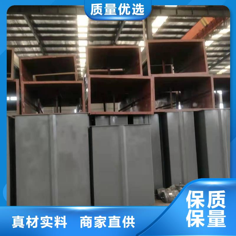 NE30板链斗式机现货充足陵水县当地厂家