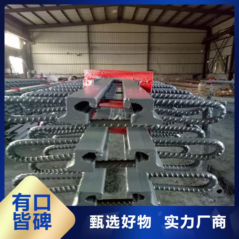 DSSF-160型橋梁伸縮縫、DSSF-160型橋梁伸縮縫廠家直銷-誠信經(jīng)營無中間商廠家直銷