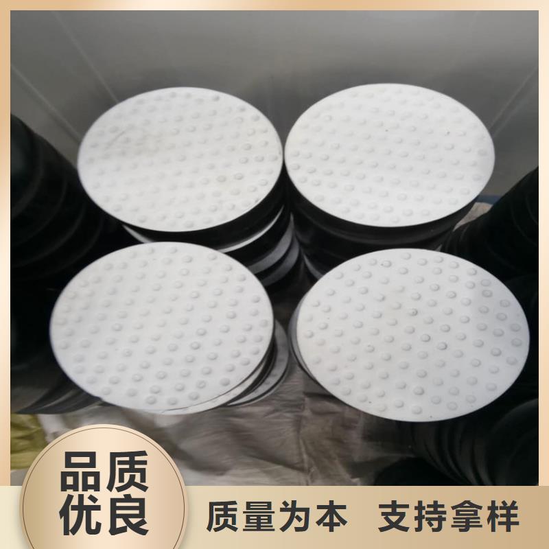 板式橡胶支座抗震球型钢支座服务周到本土经销商