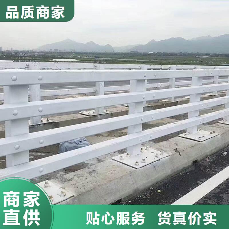優(yōu)質(zhì)不銹鋼防撞護欄的公司本地生產(chǎn)商