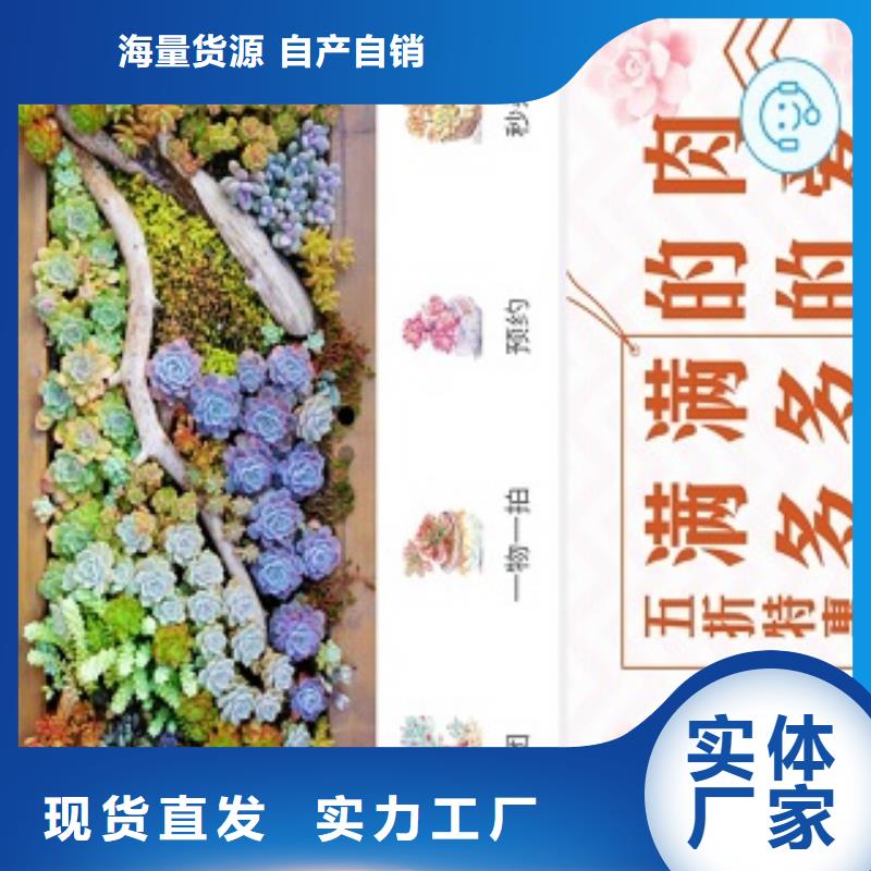 小程序科技代理运营同城货源