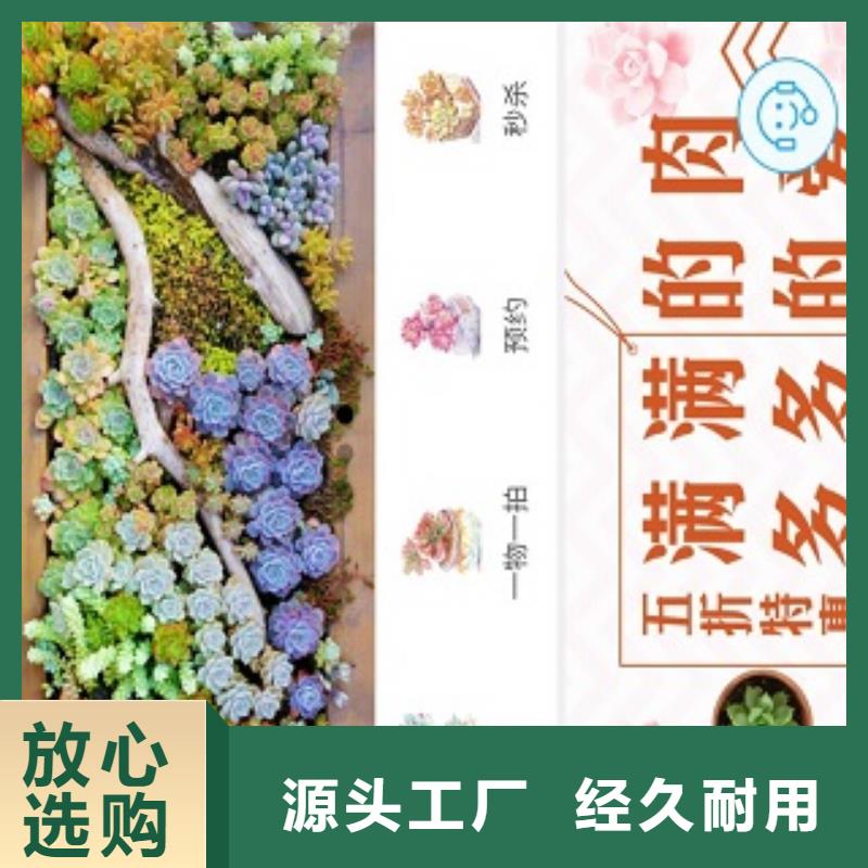 小程序制作本地厂家值得信赖细节严格凸显品质