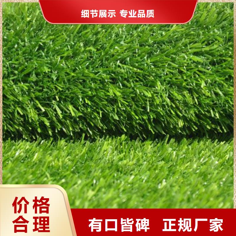 人造草坪批发服务完善质量层层把关