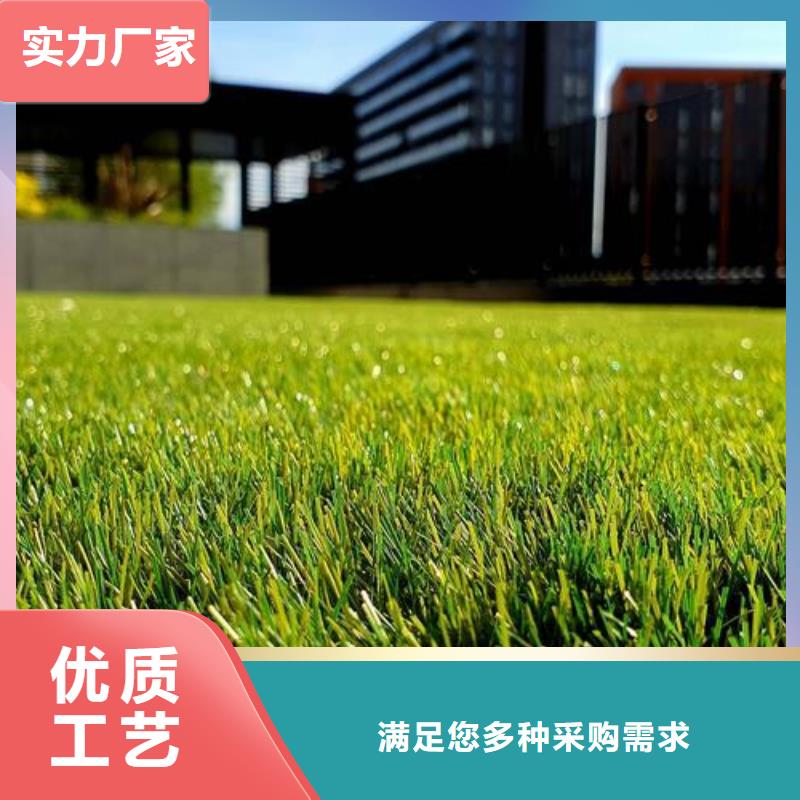 道塑胶跑道生产厂家_支持定制支持定制批发