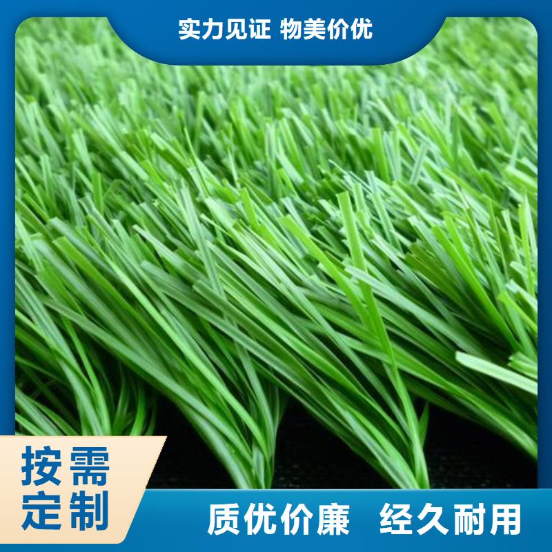 优质运动场塑胶跑道施工的当地厂家当地公司