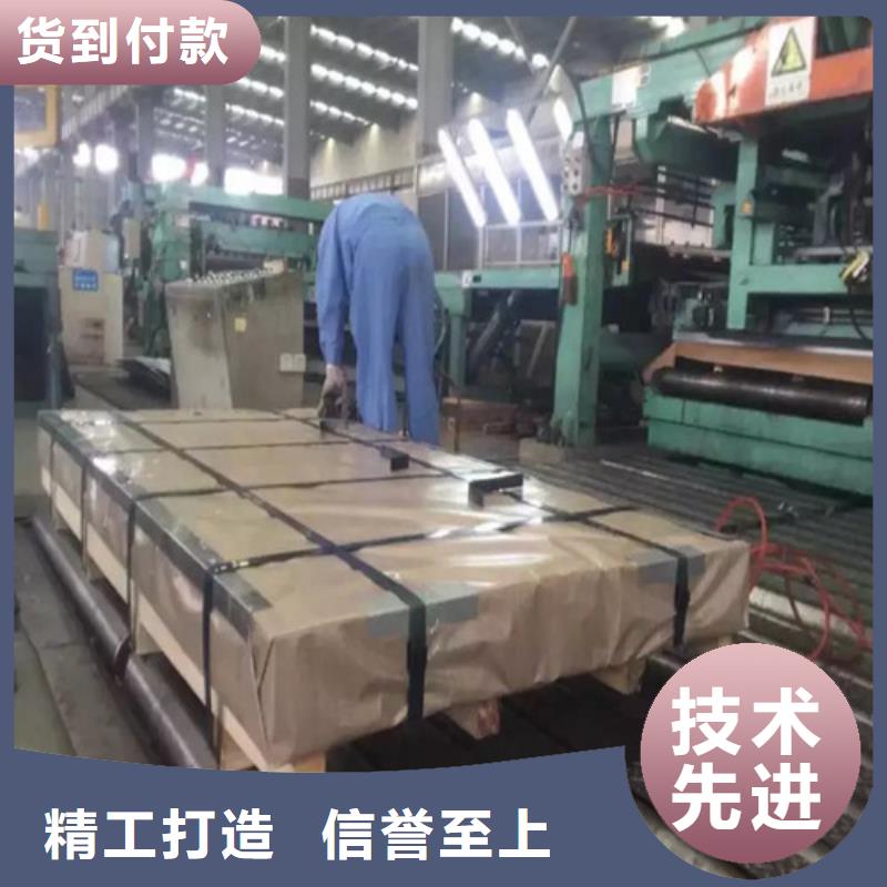 宝钢L涂层B50A290-精选厂家真材实料