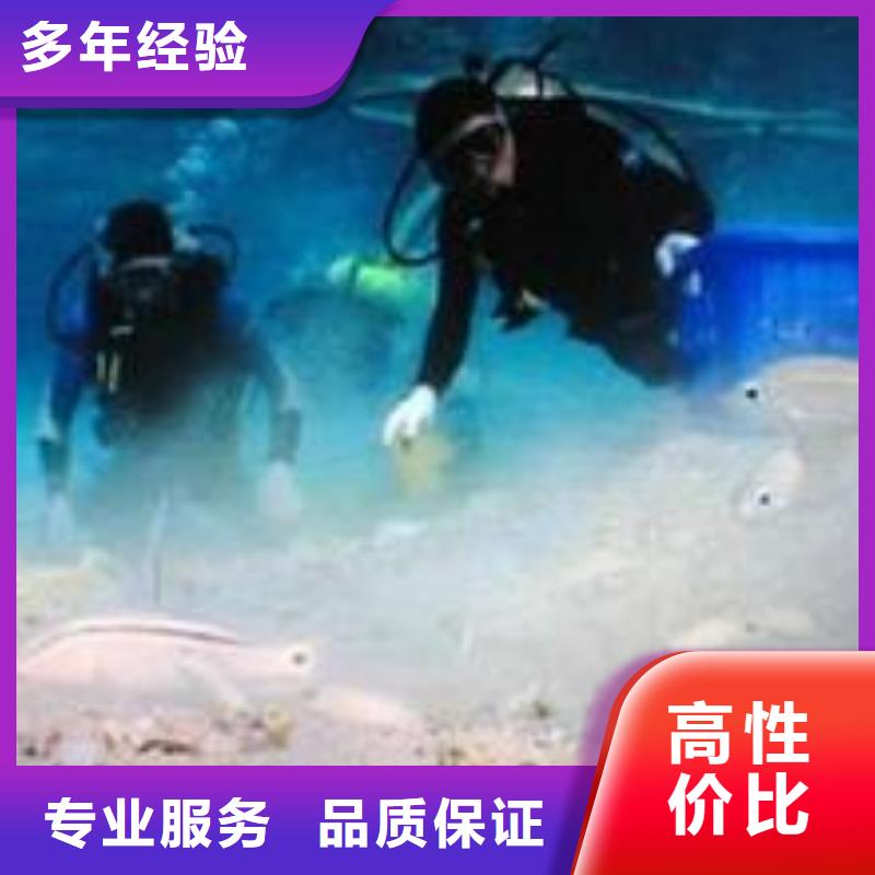 水下氣囊安裝封堵公司-專業(yè)堵水單位同城服務商