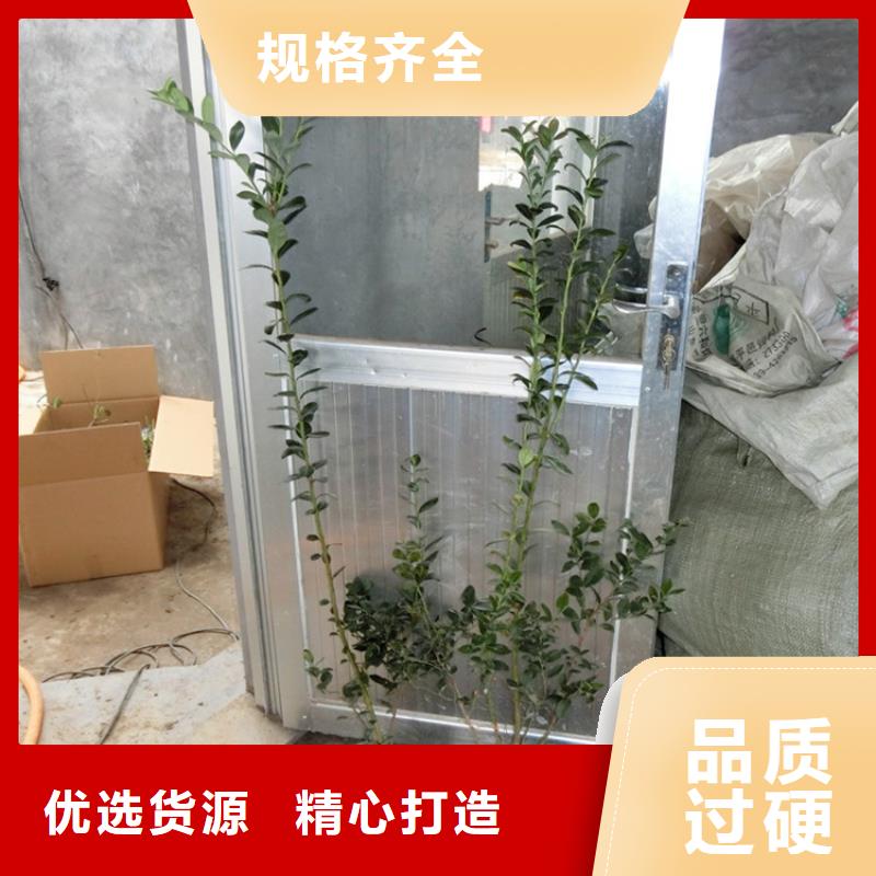 藍(lán)莓苗精致工藝符合行業(yè)標(biāo)準(zhǔn)