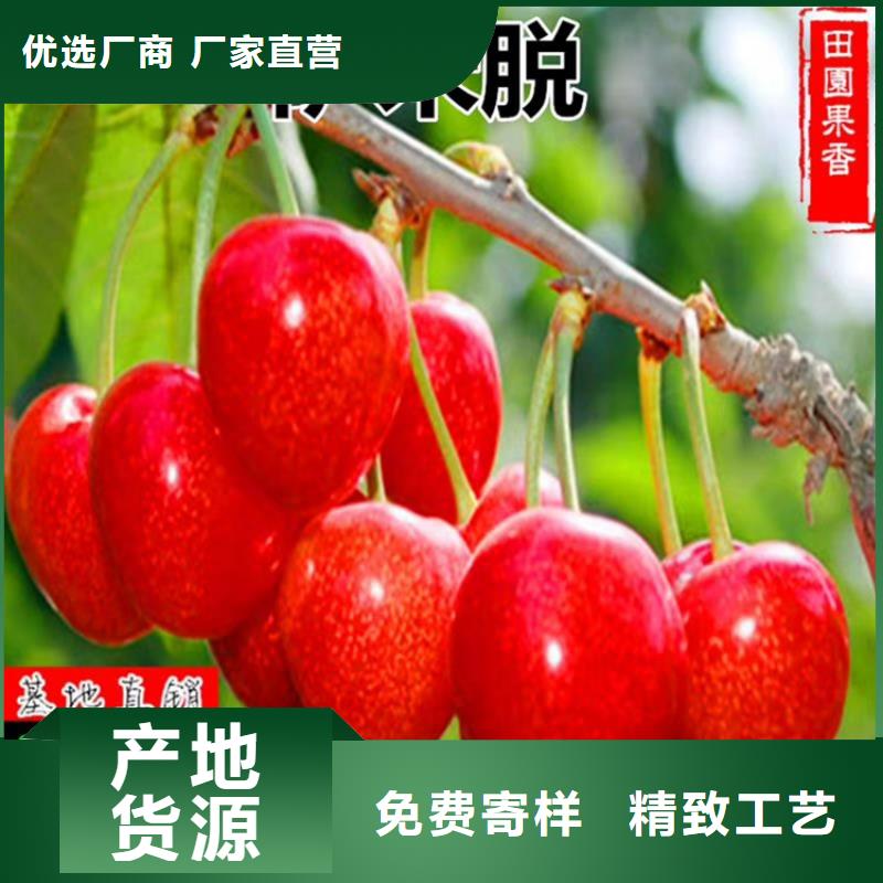 車?yán)遄赢a(chǎn)量多少今日價(jià)格