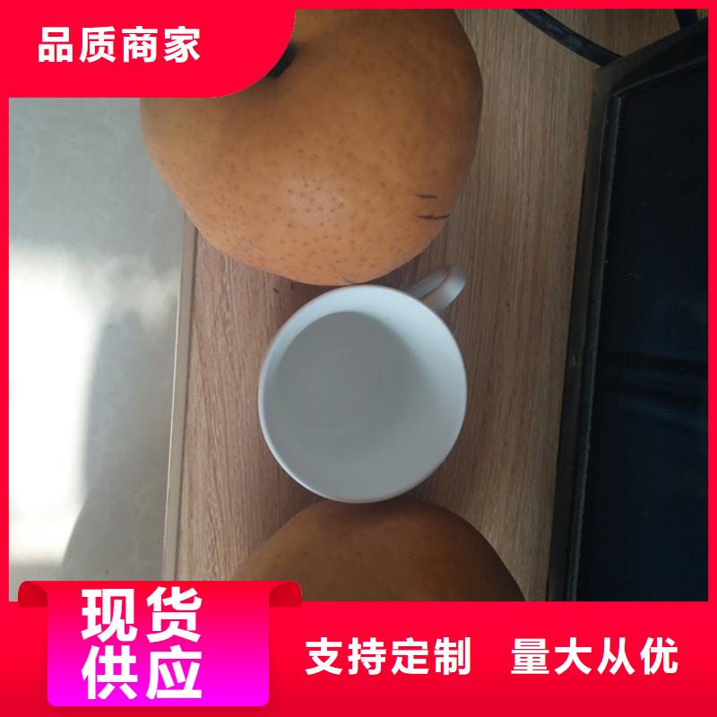 早酥红梨苗全国发货懂您所需