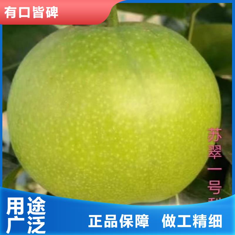 梨树,西瓜番石榴苗专业生产设备本地制造商