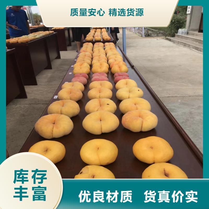 【桃】_苹果苗种类多质量好同城服务商