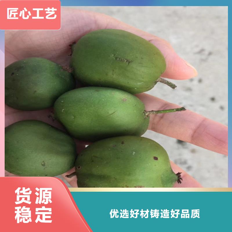 猕猴桃杏树苗实力优品销售的是诚信
