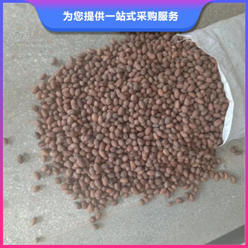 碧根果樹苗產(chǎn)量多少寶雞