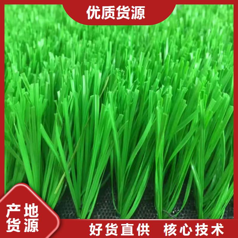 人造草坪陶瓷防專心專注專業(yè)物流配貨上門