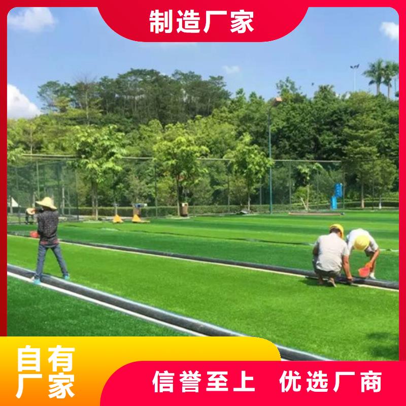本地围挡草坪供应商本地经销商