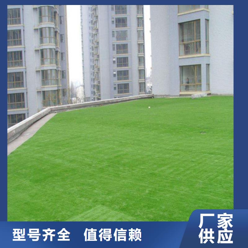 注塑人造草坪经济实用当地供应商