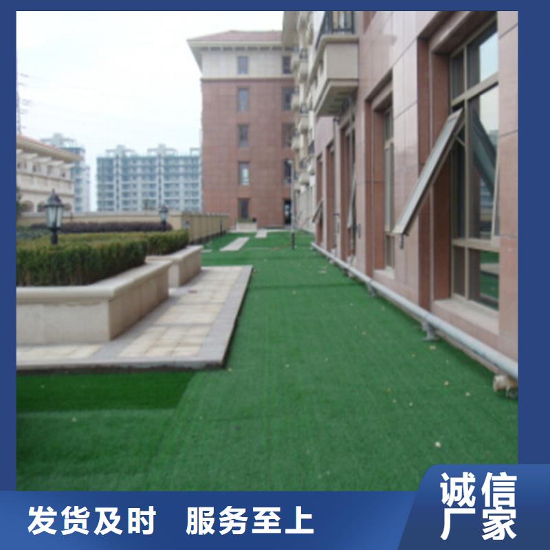 仿真人工草坪厂家资讯厂家直营