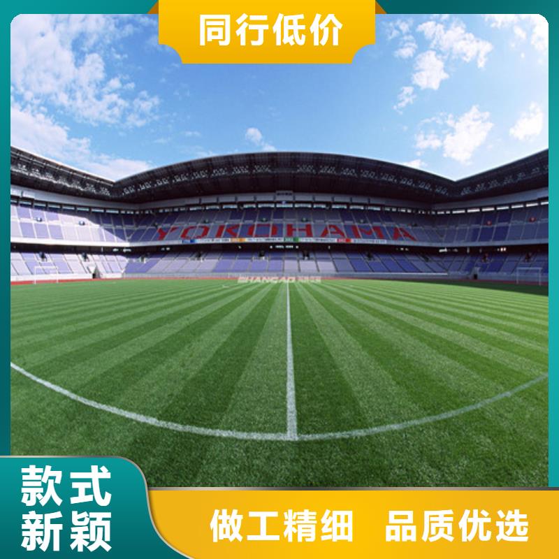 定制綠草地人造草坪_精選廠家老客戶鐘愛