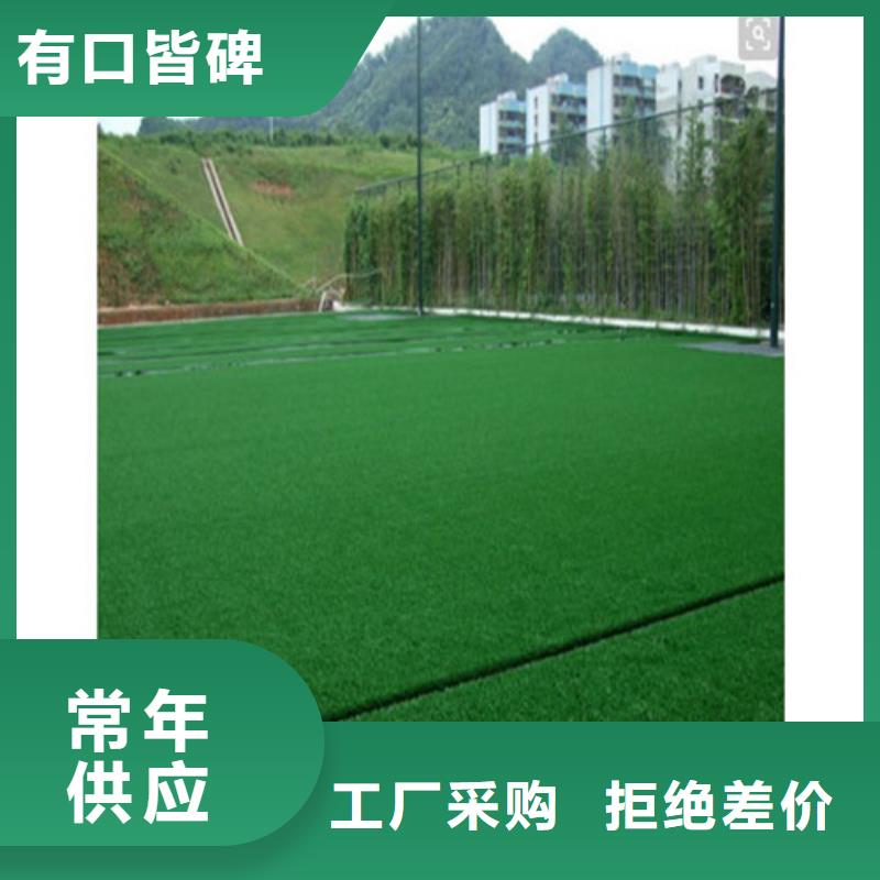 绿草地人造草坪-绿草地人造草坪专业生产送货上门