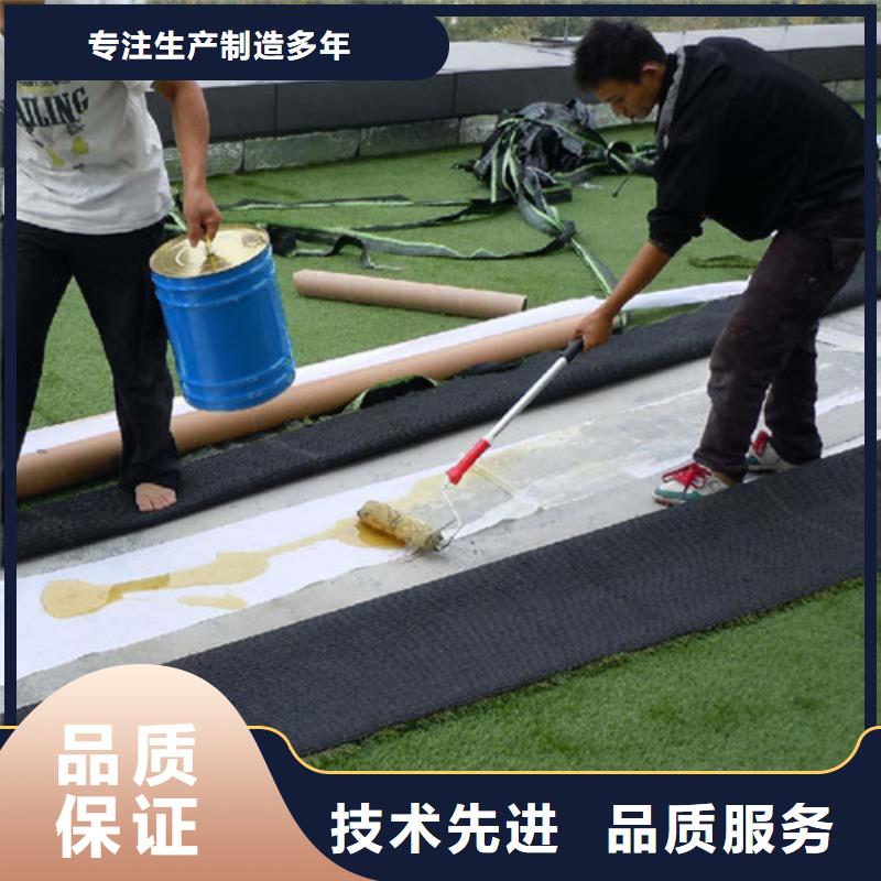 足球場人造草坪廠家直銷多少錢同城公司