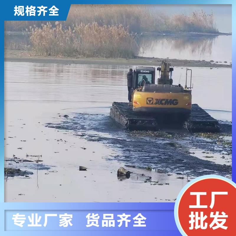 水上两用挖掘机租赁免费拿样按需定做