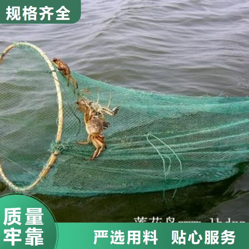 大闸蟹市场现货价格符合标准
