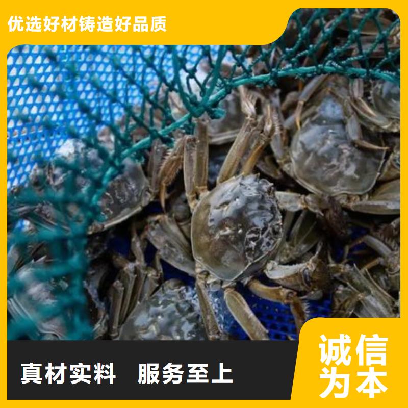 阳澄湖大闸蟹包邮严选材质