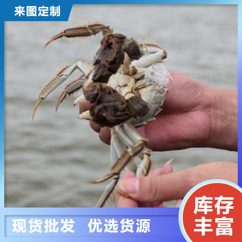 可定制的阳澄湖大闸蟹供货商支持定制贴心售后