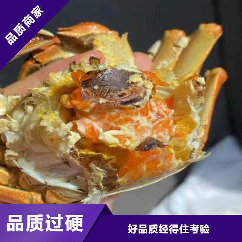 南方大螃蟹去哪里买厂家直销省心省钱