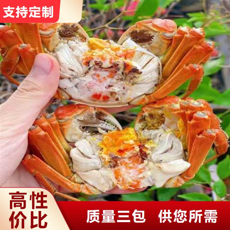 品质保证的阳澄湖大闸蟹厂家当地服务商