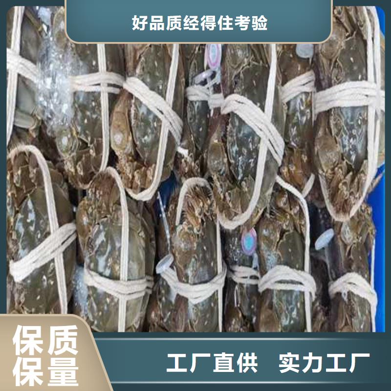 鲜活阳澄湖螃蟹价格2025今日价格
